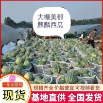 美都西瓜大量供应中对接市场档口商超一条龙服务欢迎来电咨询