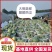 美都西瓜大量供应中对接市场档口商超一条龙服务欢迎来电咨询