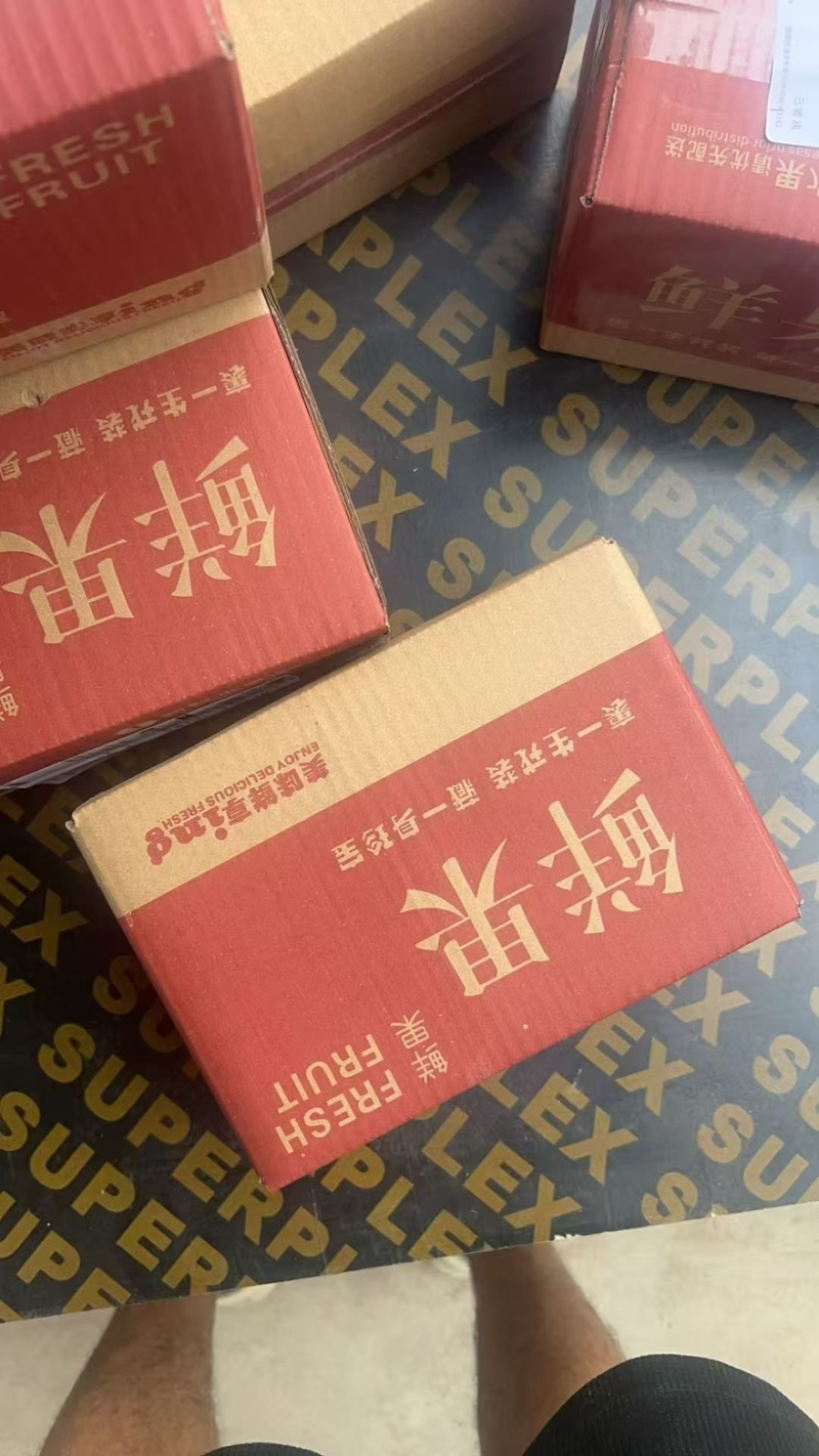 【黑李子黑布林、黑巨李】产地直供，支持电商，一件代发大量