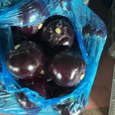 圆茄、尖椒、青椒🫑、螺丝椒、红泡椒、绿把长茄