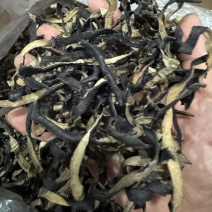 精品毛木耳丝山东毛木耳丝批发电商饭店**