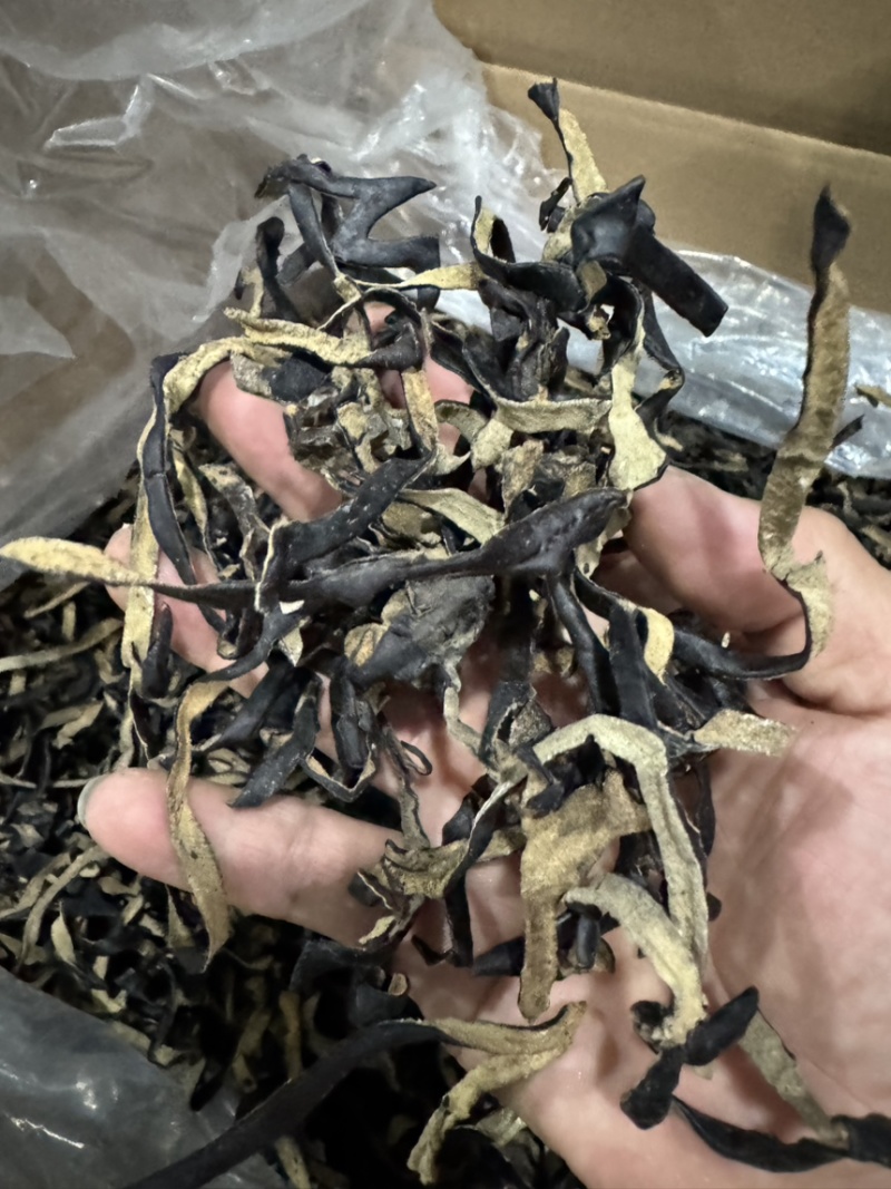 精品毛木耳丝山东毛木耳丝批发电商饭店**