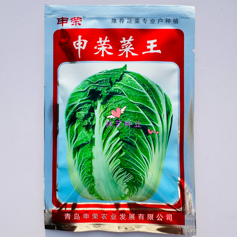 申荣菜王大白菜种子高产抗病品质好耐贮存秋白菜种籽