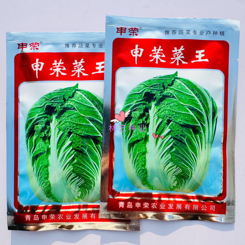 申荣菜王大白菜种子高产抗病品质好耐贮存秋白菜种籽