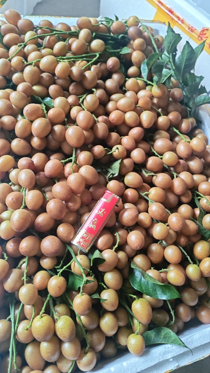 黄皮果，黑金刚
