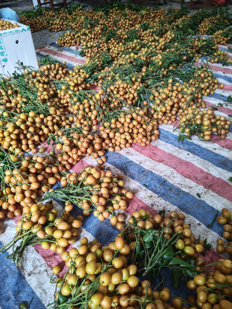 黄皮果，黑金刚