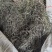 白花蛇舌草野生水洗干净没杂草货源充足品质保证
