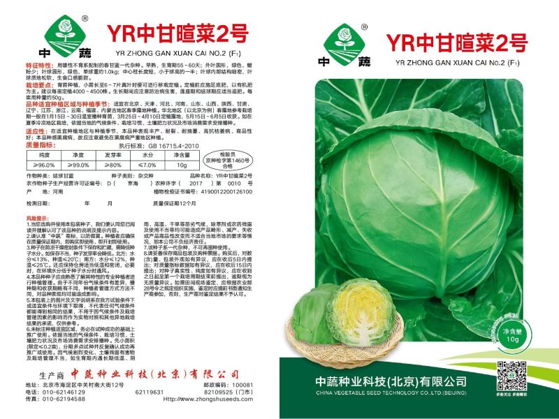 甘蓝种子