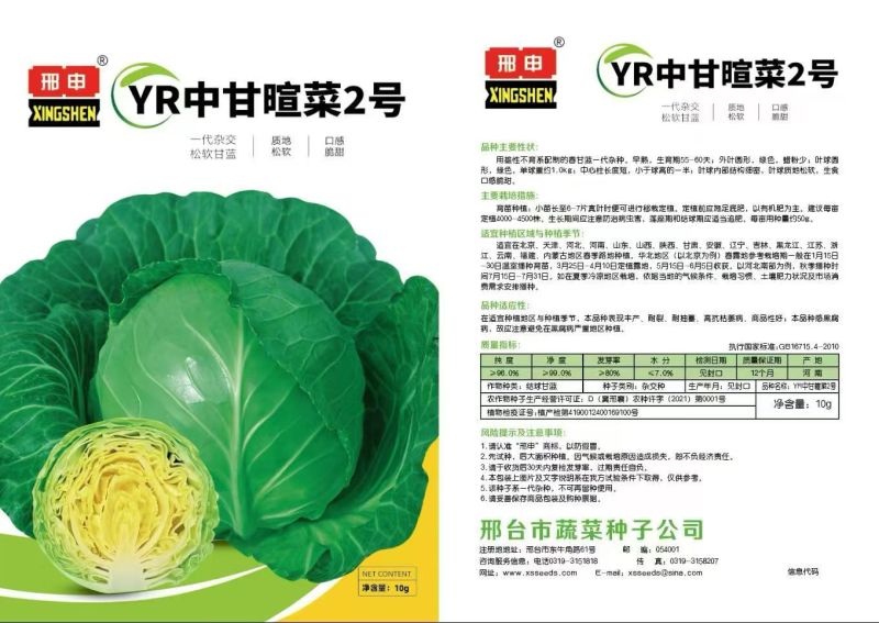 甘蓝种子