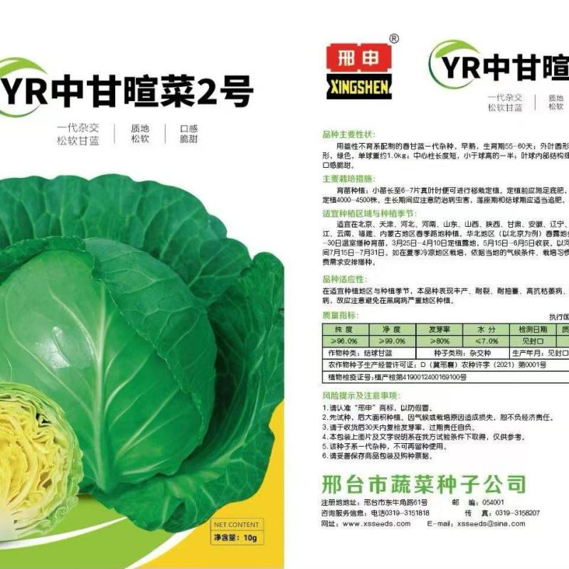 甘蓝种子