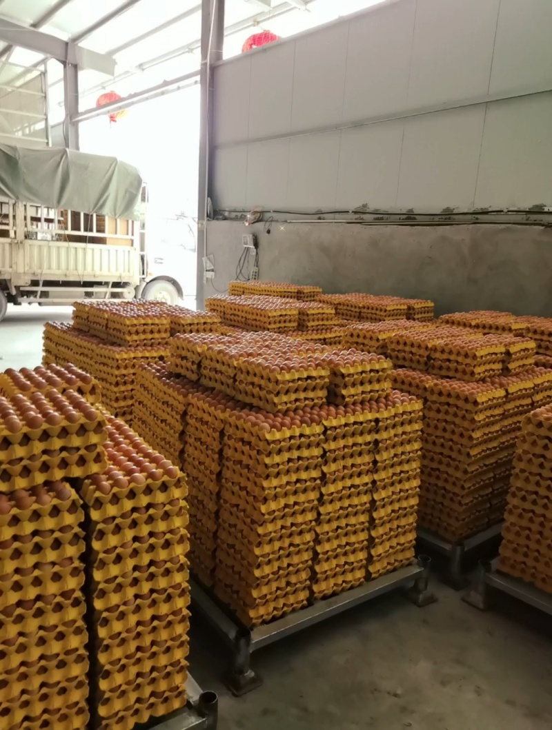 【红壳鲜鸡蛋】优质精品蛋，全国发货，源头养殖场直发