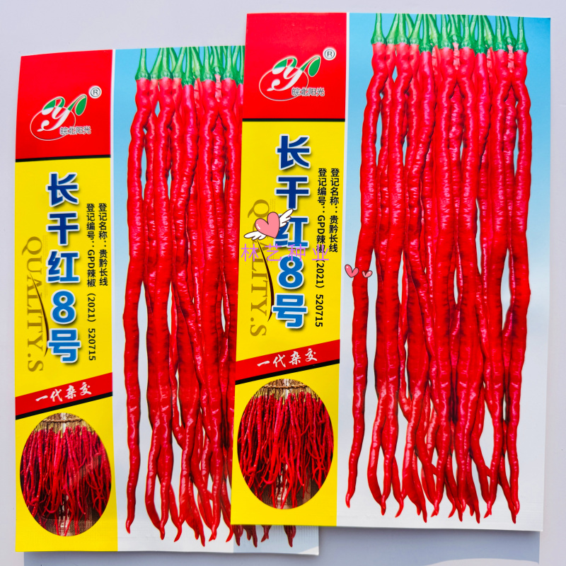 长干红8号长线椒种子香辣特长鸡爪辣干辣椒早熟四季播鸡肠椒