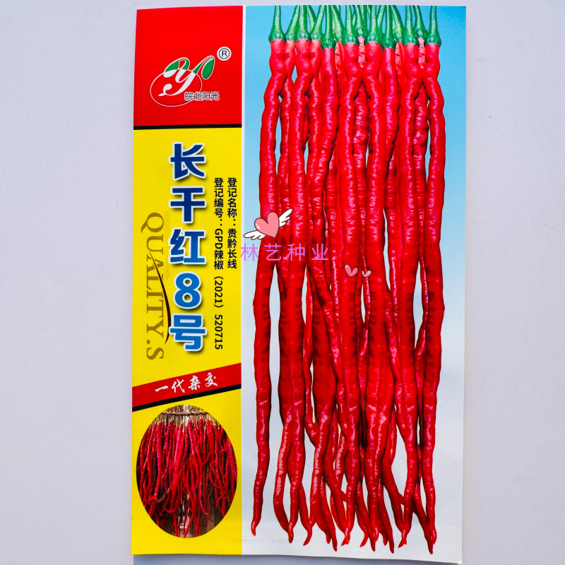 长干红8号长线椒种子香辣特长鸡爪辣干辣椒早熟四季播鸡肠椒