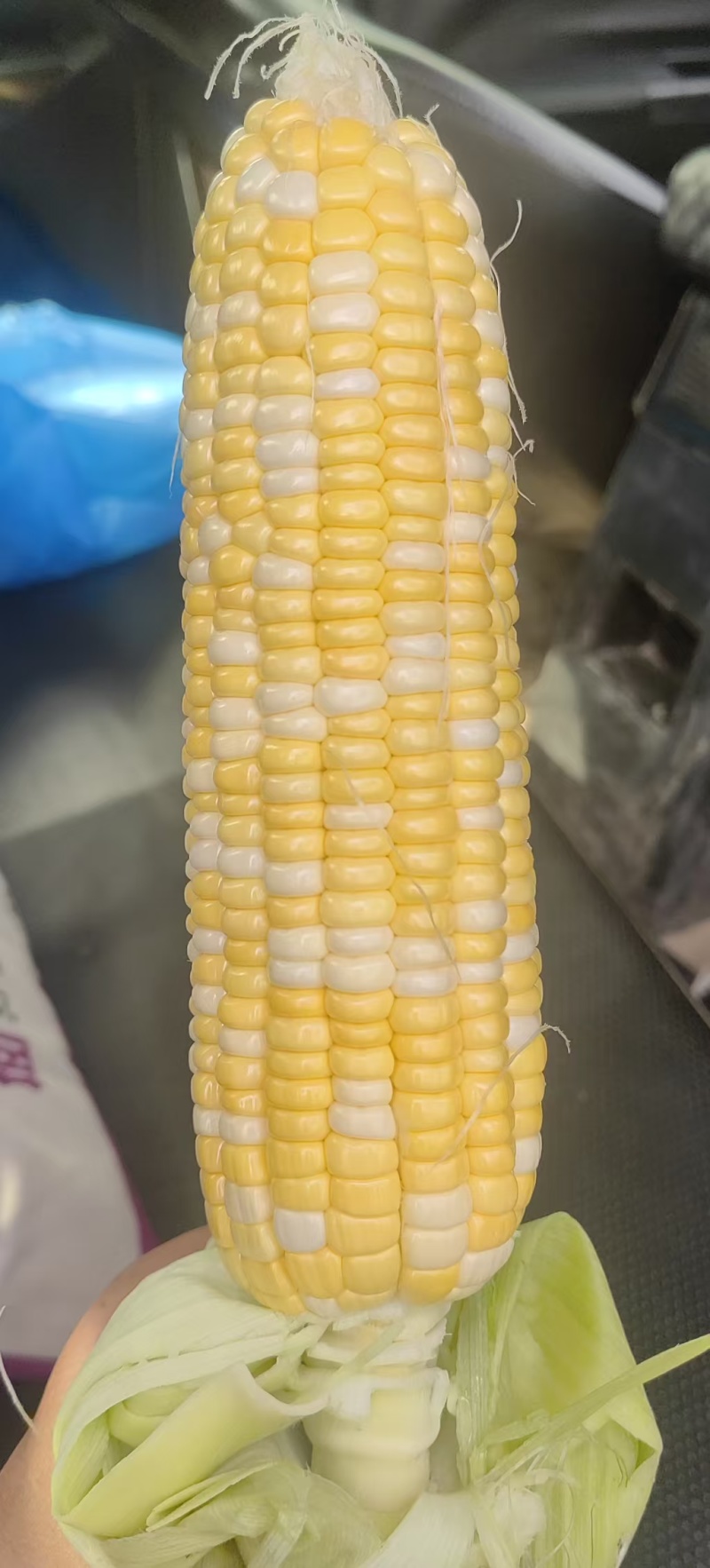 鲜食甜玉米