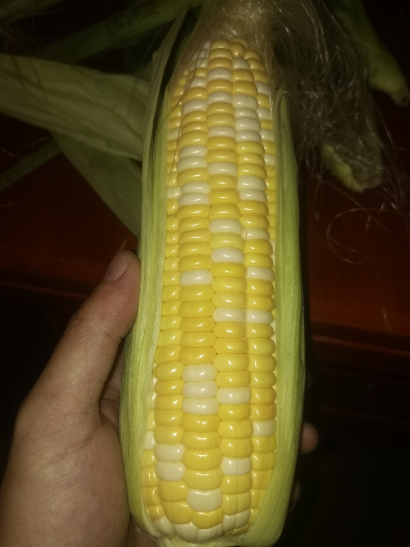 鲜食甜玉米