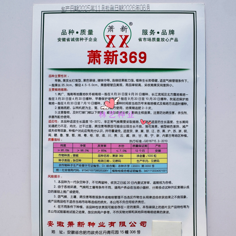 萧新369早熟长灯笼椒种子果色翠绿辣味中等竖皱褶产量高