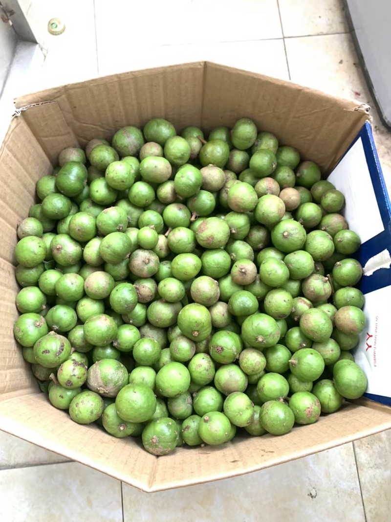 新鲜仁面果现摘现发