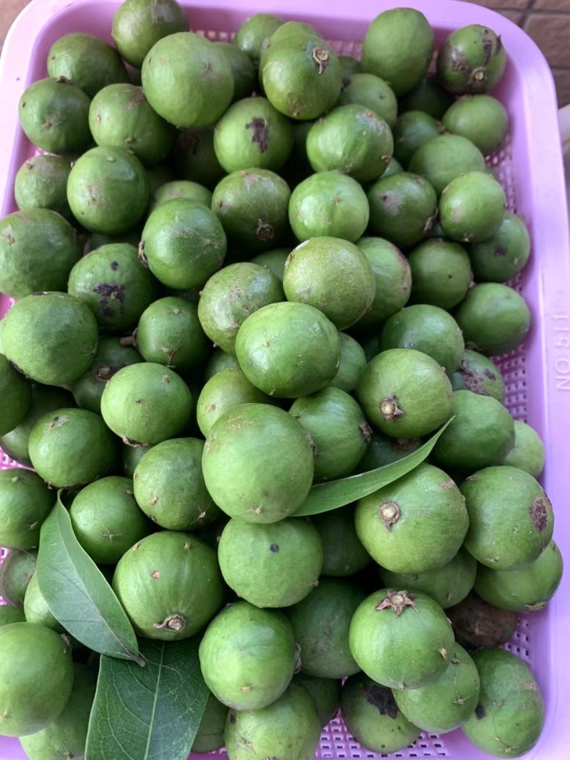新鲜仁面果现摘现发