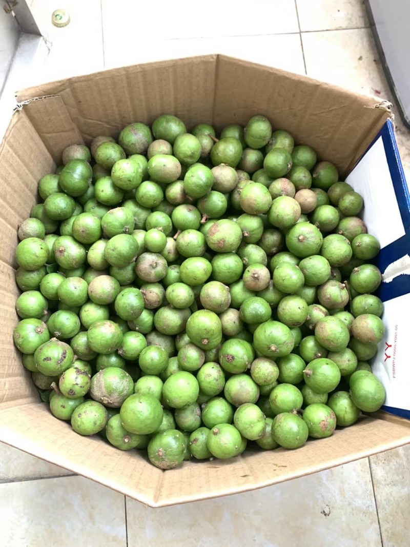 新鲜仁面果现摘现发