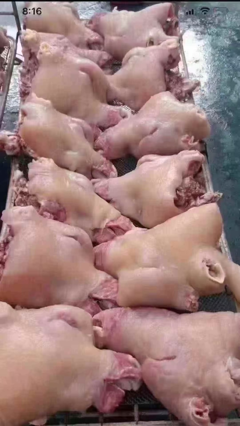 水退全熟牛头肉，一手货源，质量保证，常年有货，。。。。。