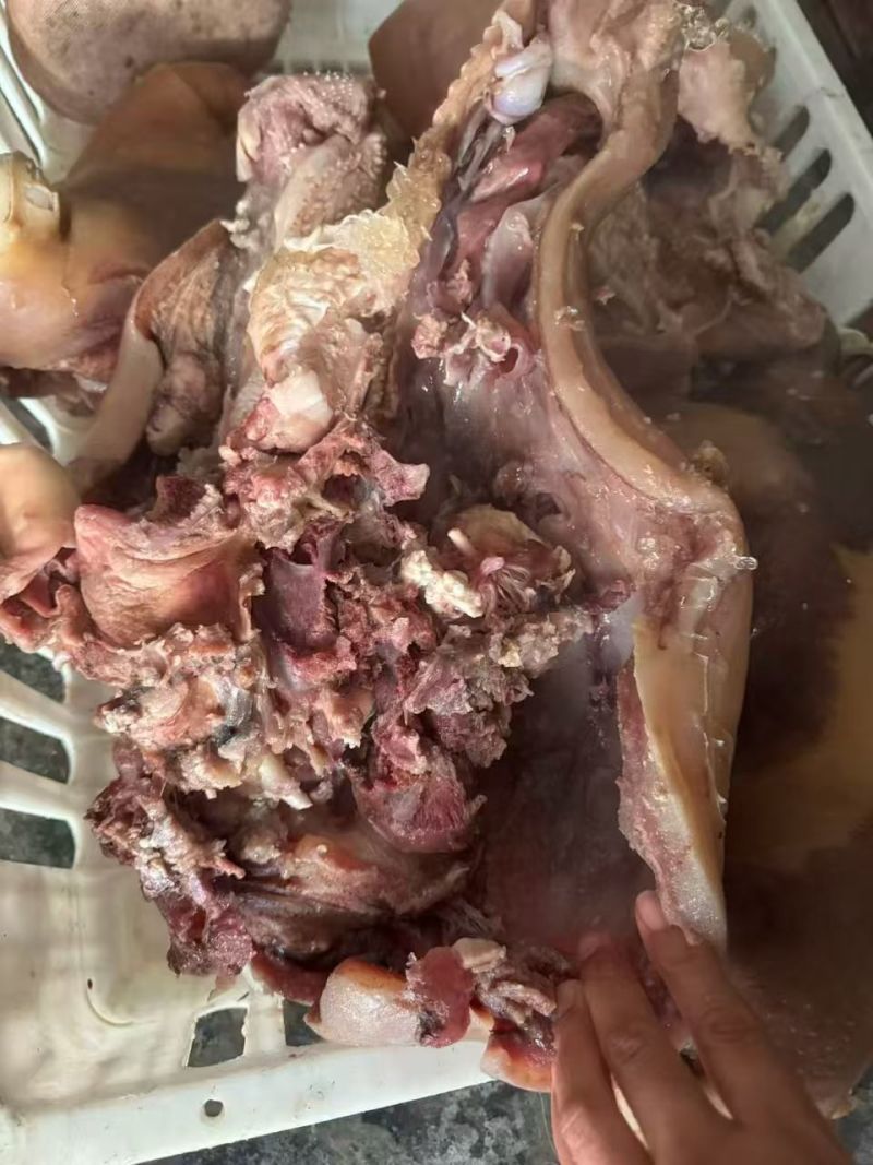 水退全熟牛头肉，一手货源，质量保证，常年有货，。。。。。