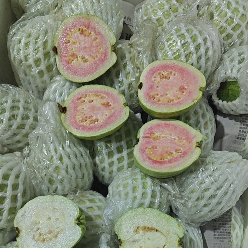 芭乐（番石榴）原产地直供应