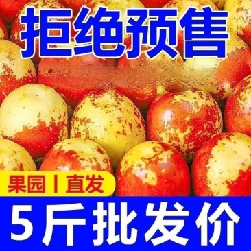 陕西大荔冬枣一件代发电商社区团购5斤