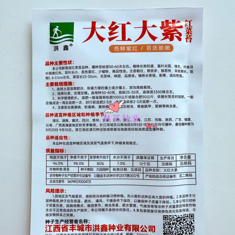 大红大紫红菜苔种子耐寒主苔粗壮侧苔多抽苔快采收期长