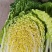 山东胶东黄心大白菜常年供应