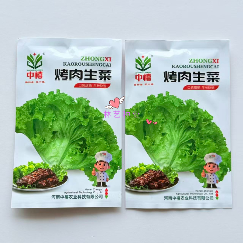 烤肉生菜种子口感甜脆生菜种子耐热耐寒耐抽苔大田基地种植
