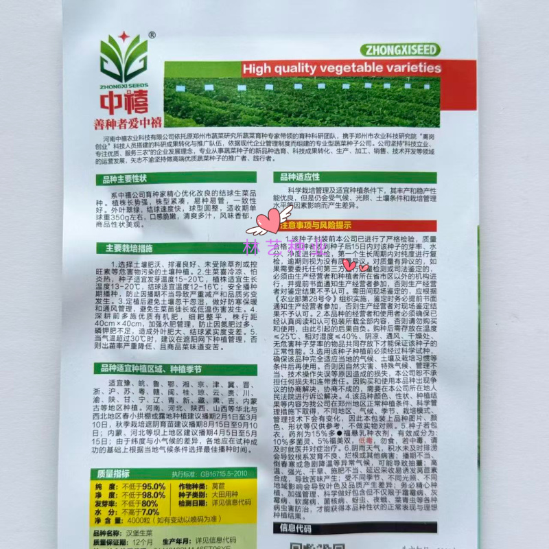 中禧汉堡生菜结球生菜西餐汉堡火锅用沙拉新鲜蔬菜圆西生菜种