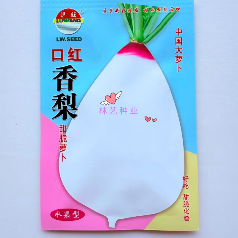 口红香梨甜脆萝卜种子秋播水果萝卜品质佳口感好甜脆好吃萝卜