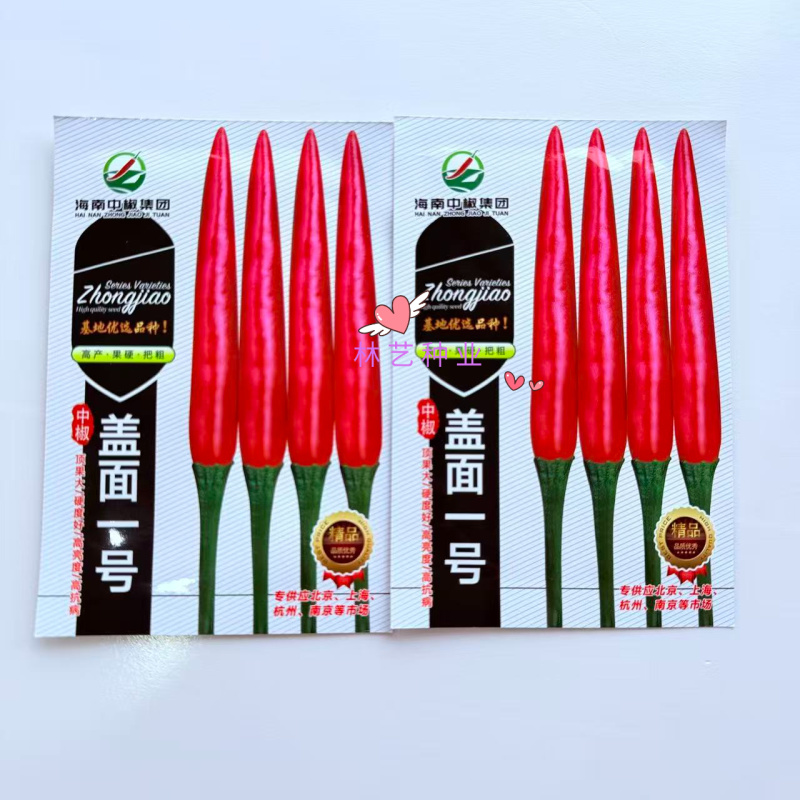 盖面一号朝天椒种子中晚熟大果抗性强中晚熟辣椒种籽大田蔬菜