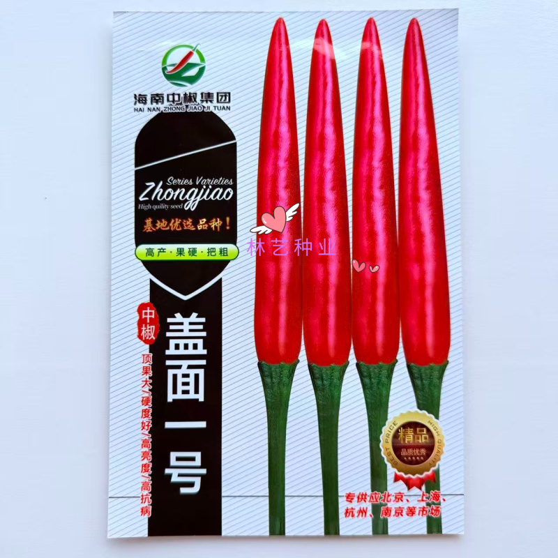 盖面一号朝天椒种子中晚熟大果抗性强中晚熟辣椒种籽大田蔬菜