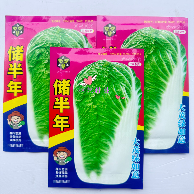 储半年大白菜种子李大眼睛东北菜籽秋季冬储黄心帮翠叶储半年