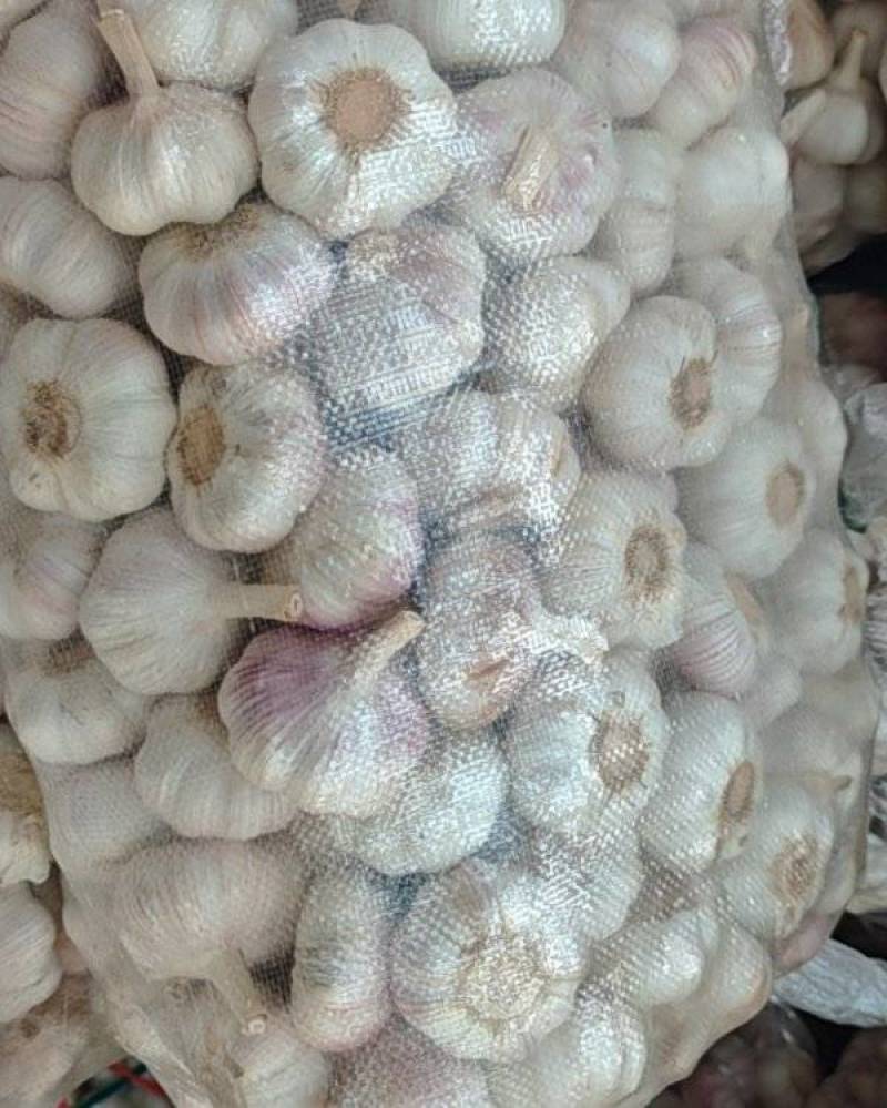 大蒜