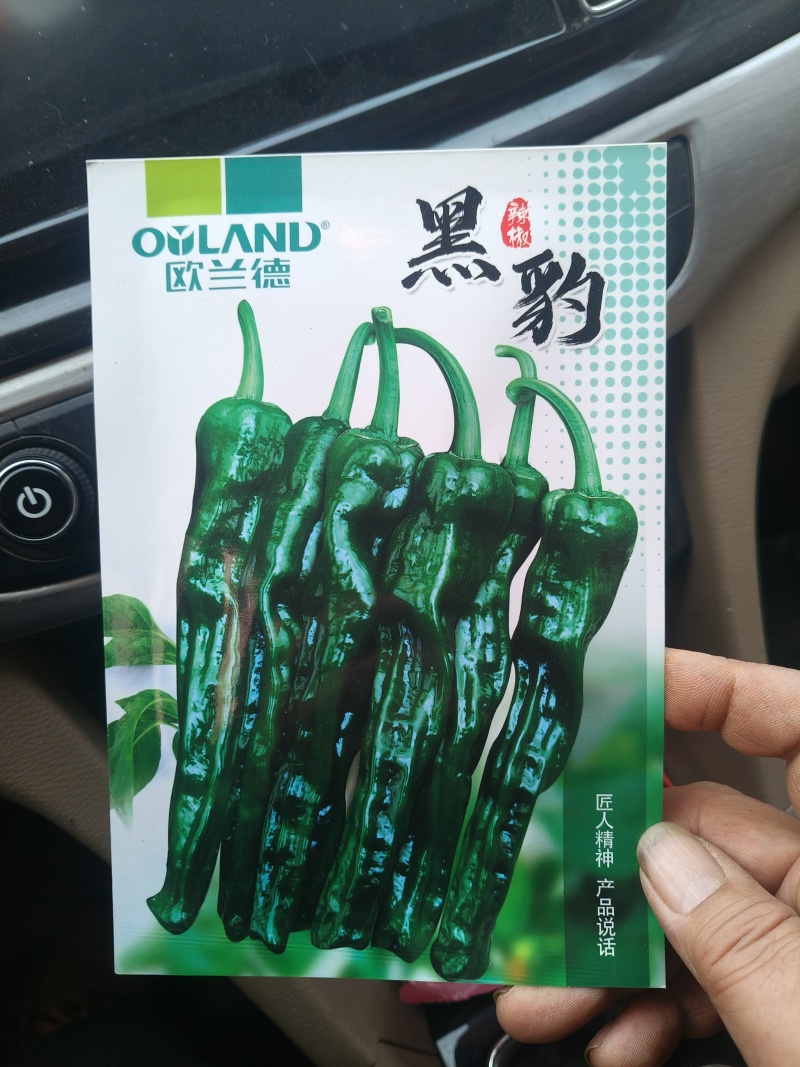 皱皮辣椒，自产自销，适合各大商超和连锁超市团购。