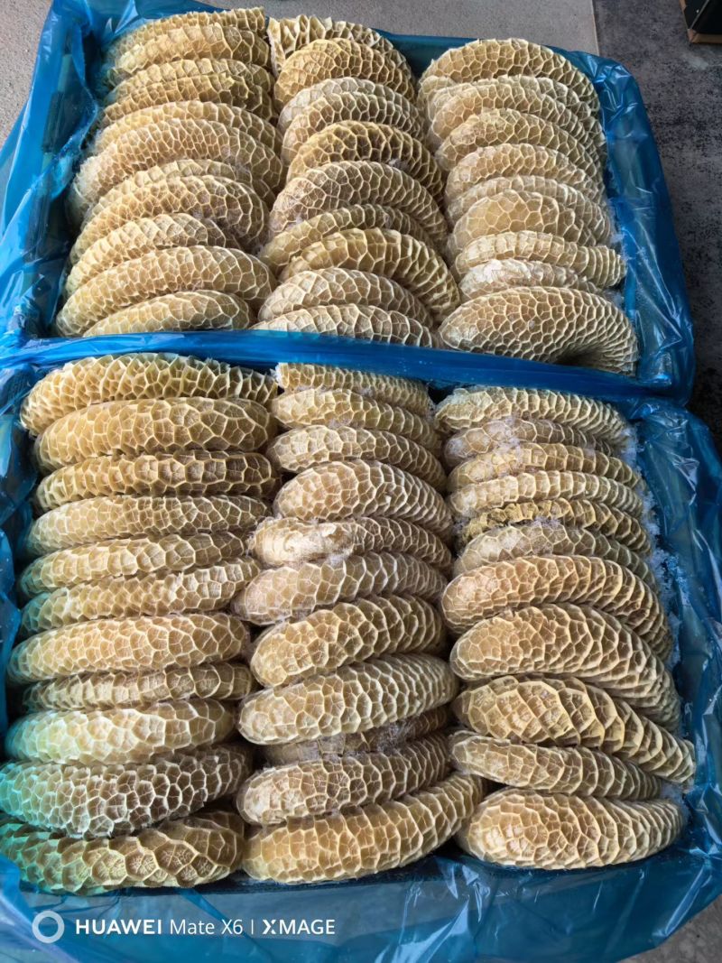 8成熟金肚，质量保证一手货源，常年有货。价格美丽。。。。