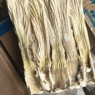 大日期鸭食管1吨