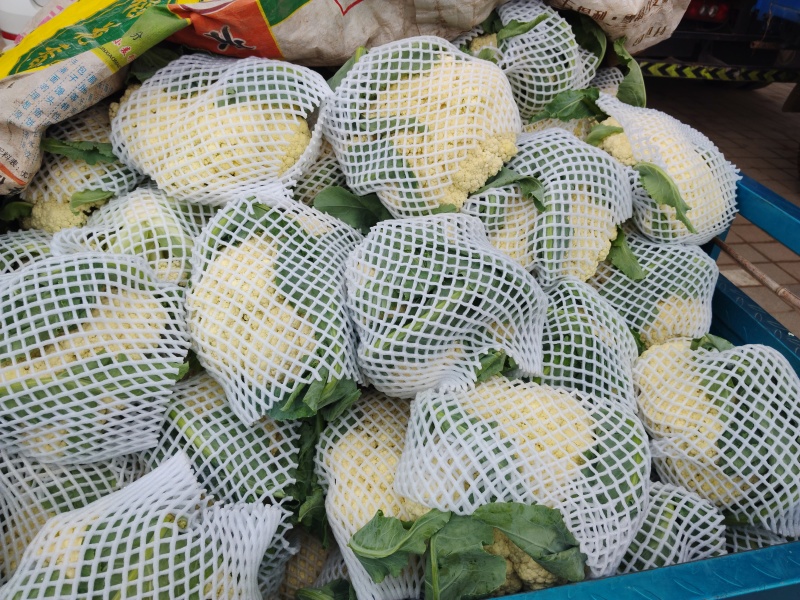菜花