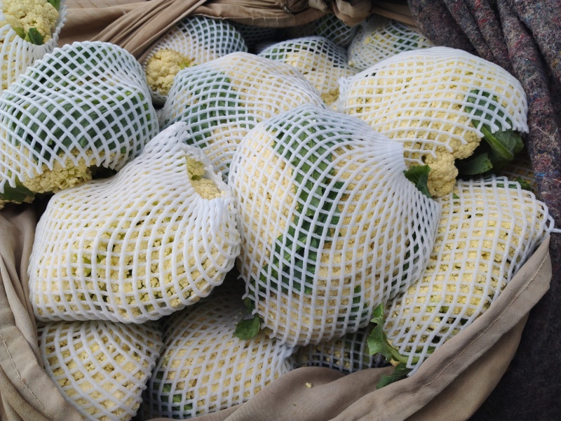 菜花