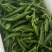 新苗辣椒2307螺丝椒罗线大量上市8号线泡椒