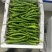 新苗辣椒2307螺丝椒罗线大量上市8号线泡椒