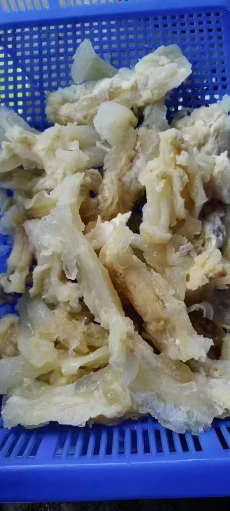 水发牛蹄筋，电商专用，一手货源，质量保证。。。。