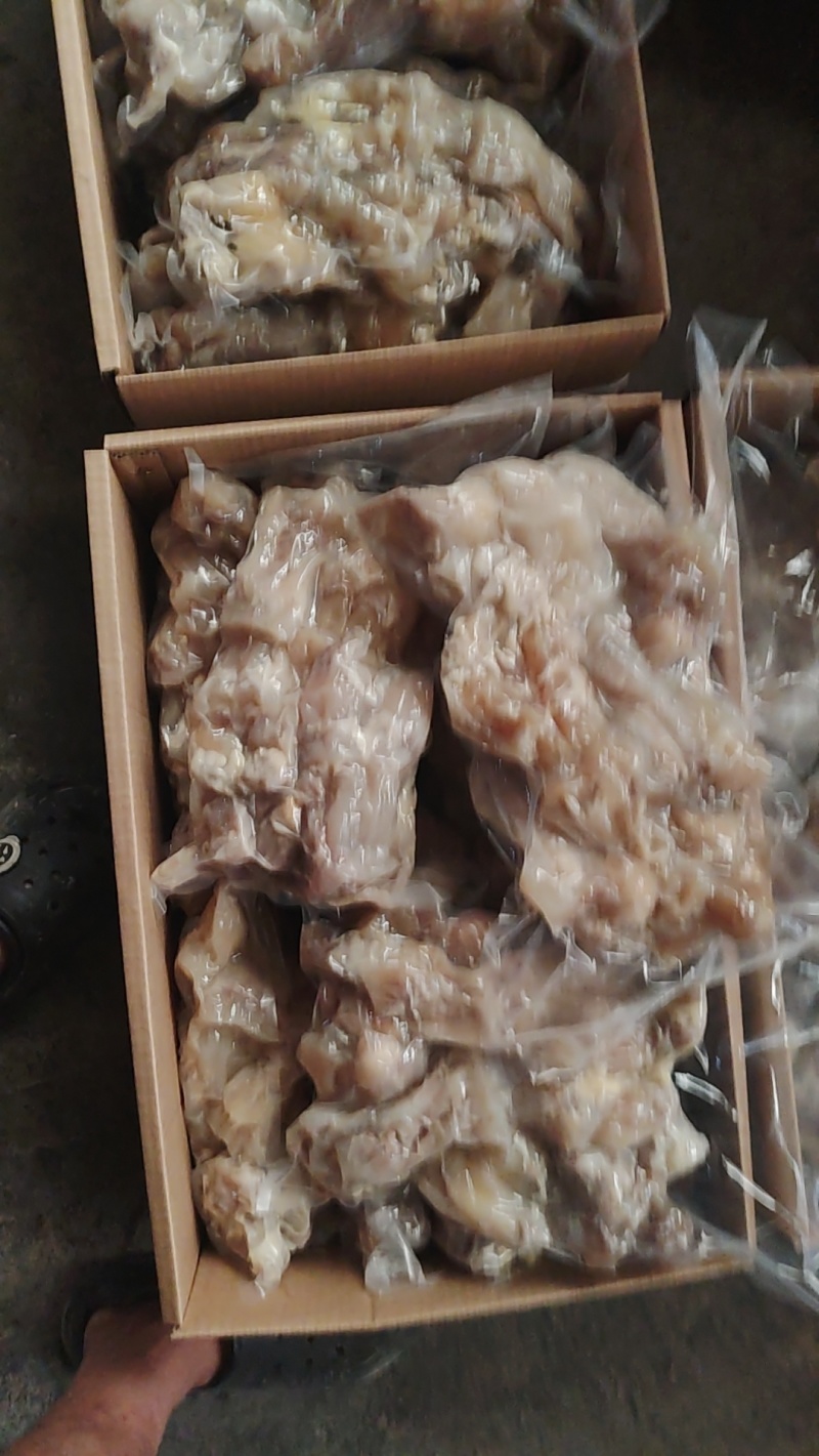 水发牛蹄筋，电商专用，一手货源，质量保证。。。。