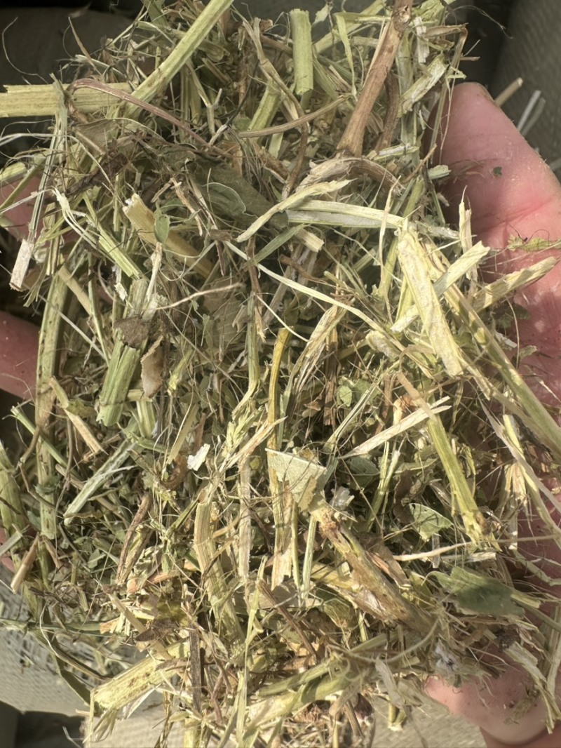 花生秧草料，花生秧饲草！牛羊马鹿驴通用牧草