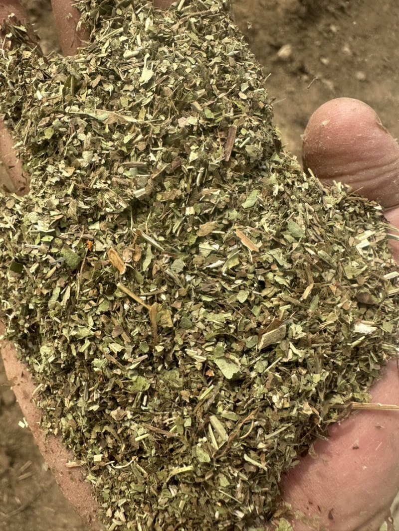 花生秧草料，花生秧饲草！牛羊马鹿驴通用牧草