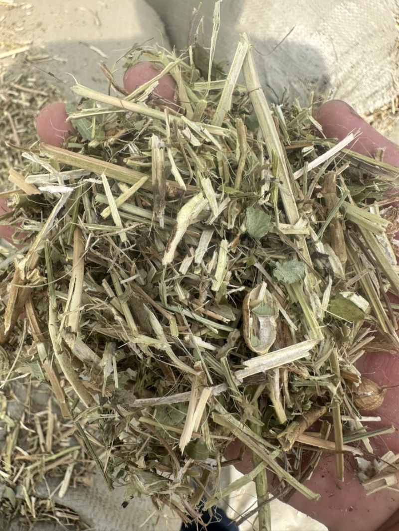花生秧草料，花生秧饲草！牛羊马鹿驴通用牧草