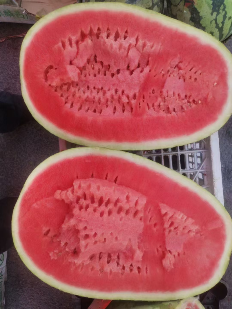 自家种的大西瓜，黑美人，汁多饱满