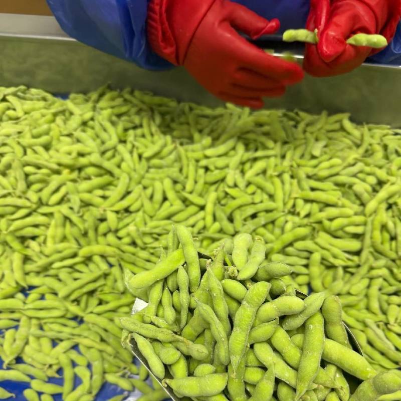 毛豆，产地现采现发，精品货，大量上市？